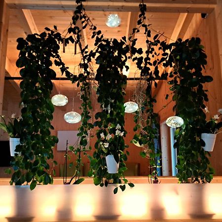 Chalet Ablon سالباخ هينترغليم المظهر الخارجي الصورة