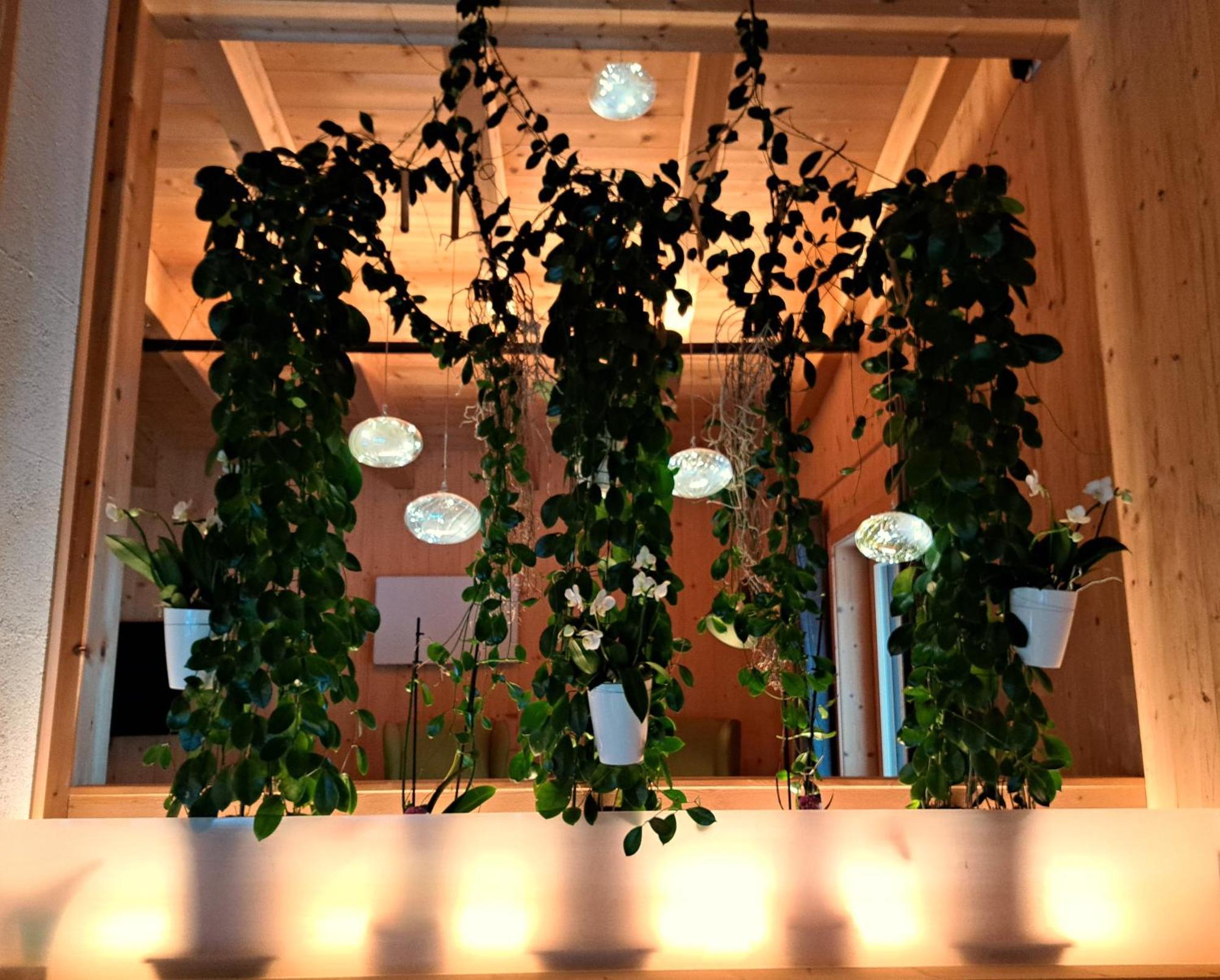 Chalet Ablon سالباخ هينترغليم المظهر الخارجي الصورة
